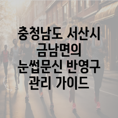 충청남도 서산시 금남면의 눈썹문신 반영구 관리 가이드