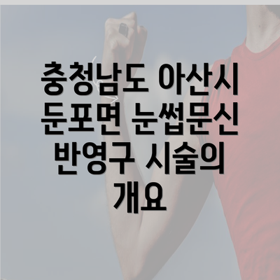 충청남도 아산시 둔포면 눈썹문신 반영구 시술의 개요