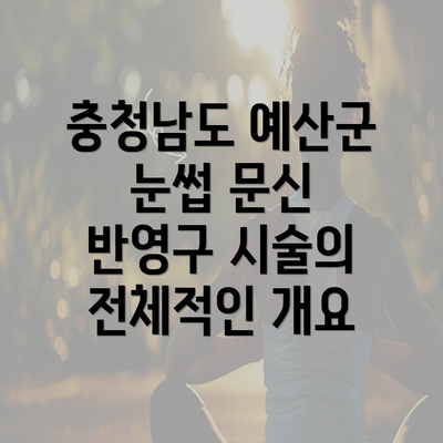 충청남도 예산군 눈썹 문신 반영구 시술의 전체적인 개요