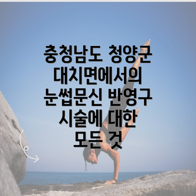 충청남도 청양군 대치면에서의 눈썹문신 반영구 시술에 대한 모든 것