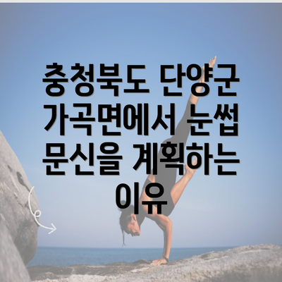 충청북도 단양군 가곡면에서 눈썹 문신을 계획하는 이유