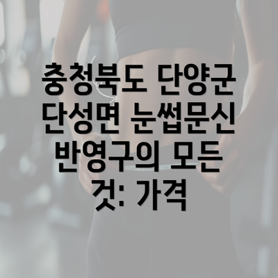 충청북도 단양군 단성면 눈썹문신 반영구의 모든 것: 가격