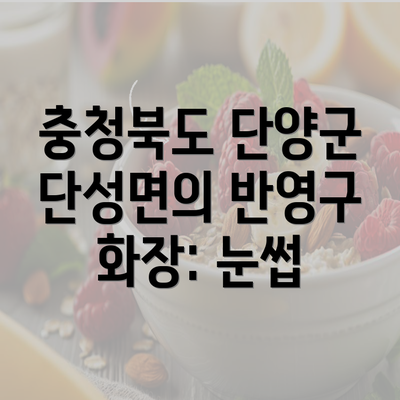 충청북도 단양군 단성면의 반영구 화장: 눈썹