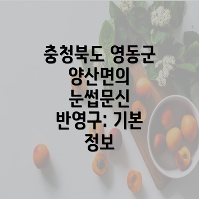 충청북도 영동군 양산면의 눈썹문신 반영구: 기본 정보