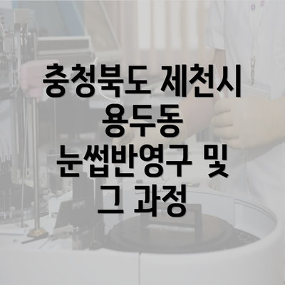 충청북도 제천시 용두동 눈썹반영구 및 그 과정