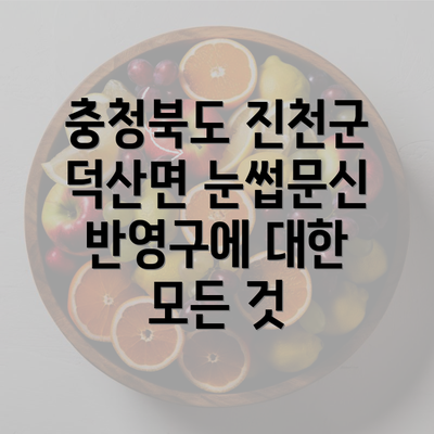 충청북도 진천군 덕산면 눈썹문신 반영구에 대한 모든 것