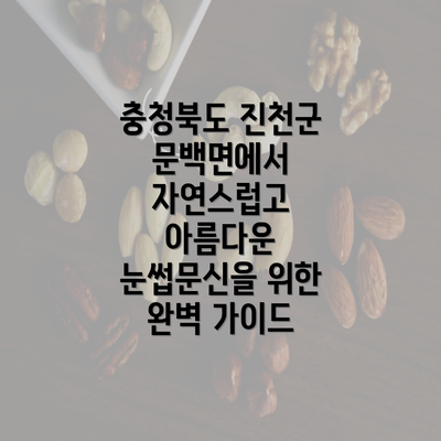 충청북도 진천군 문백면에서 자연스럽고 아름다운 눈썹문신을 위한 완벽 가이드