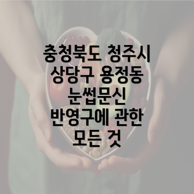 충청북도 청주시 상당구 용정동 눈썹문신 반영구에 관한 모든 것