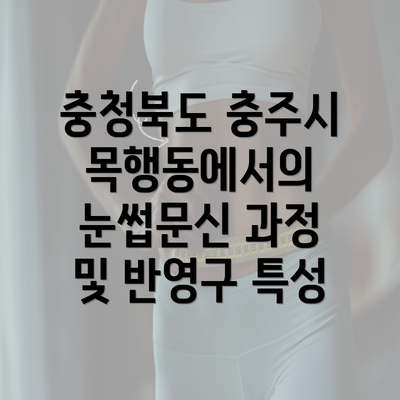 충청북도 충주시 목행동에서의 눈썹문신 과정 및 반영구 특성