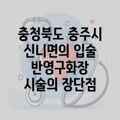 충청북도 충주시 신니면의 입술 반영구화장 시술의 장단점