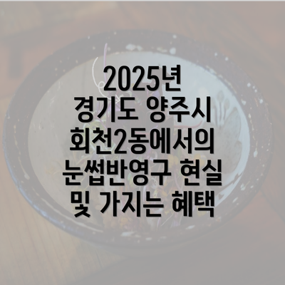 2025년 경기도 양주시 회천2동에서의 눈썹반영구 현실 및 가지는 혜택