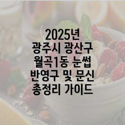 2025년 광주시 광산구 월곡1동 눈썹 반영구 및 문신 총정리 가이드