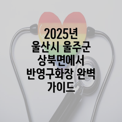 2025년 울산시 울주군 상북면에서 반영구화장 완벽 가이드