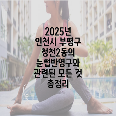 2025년 인천시 부평구 청천2동의 눈썹반영구와 관련된 모든 것 총정리