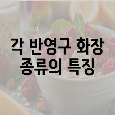 각 반영구 화장 종류의 특징