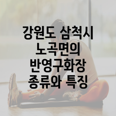 강원도 삼척시 노곡면의 반영구화장 종류와 특징