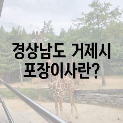 경상남도 거제시 포장이사란?