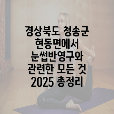 경상북도 청송군 현동면에서 눈썹반영구와 관련한 모든 것 2025 총정리