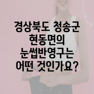 경상북도 청송군 현동면의 눈썹반영구는 어떤 것인가요?