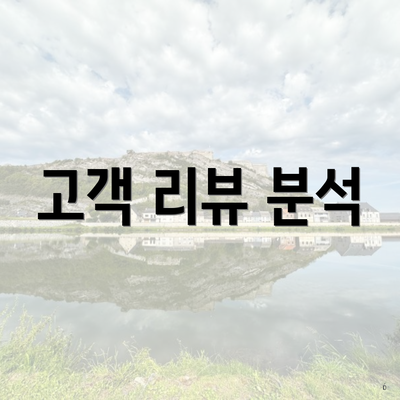 고객 리뷰 분석