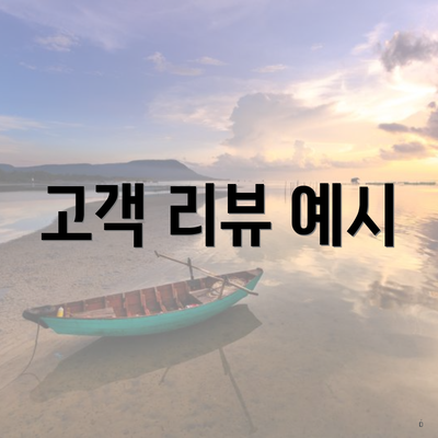 고객 리뷰 예시