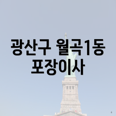 광산구 월곡1동 포장이사