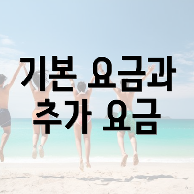 기본 요금과 추가 요금