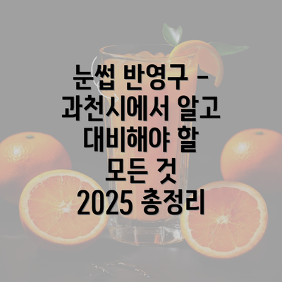 눈썹 반영구 - 과천시에서 알고 대비해야 할 모든 것 2025 총정리