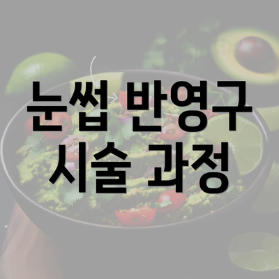 눈썹 반영구 시술 과정