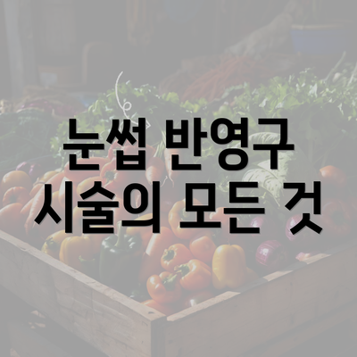 눈썹 반영구 시술의 모든 것