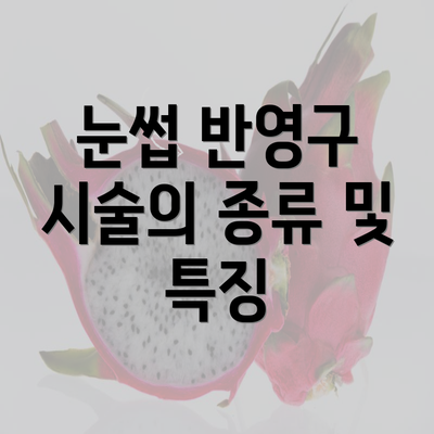 눈썹 반영구 시술의 종류 및 특징