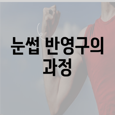 눈썹 반영구의 과정