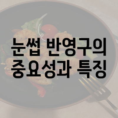 눈썹 반영구의 중요성과 특징