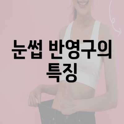 눈썹 반영구의 특징