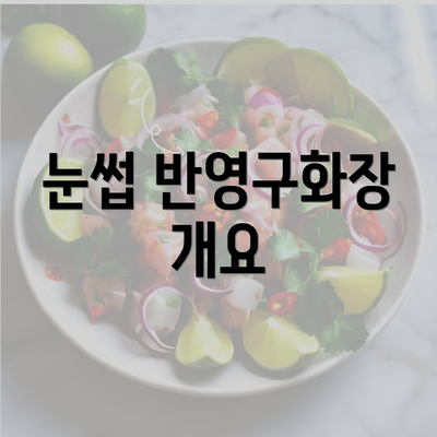 눈썹 반영구화장 개요