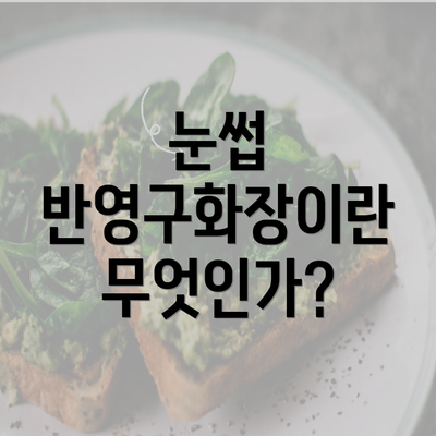 눈썹 반영구화장이란 무엇인가?