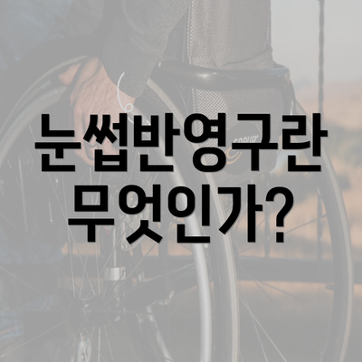 눈썹반영구란 무엇인가?