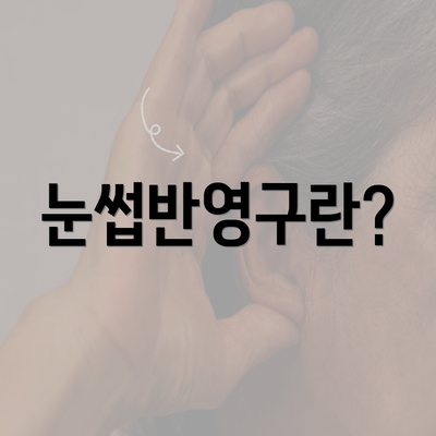 눈썹반영구란?