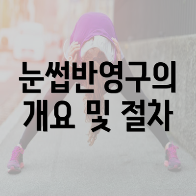 눈썹반영구의 개요 및 절차