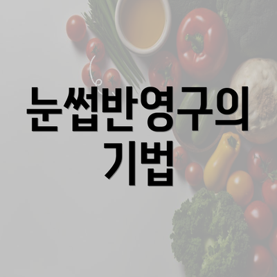 눈썹반영구의 기법