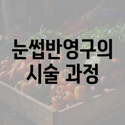 눈썹반영구의 시술 과정