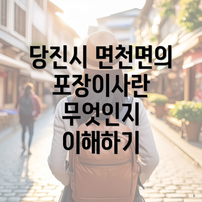 당진시 면천면의 포장이사란 무엇인지 이해하기