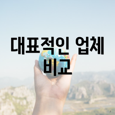 대표적인 업체 비교