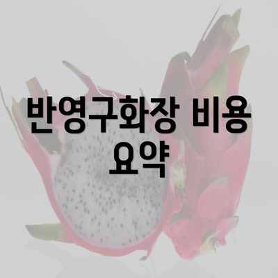 반영구화장 비용 요약