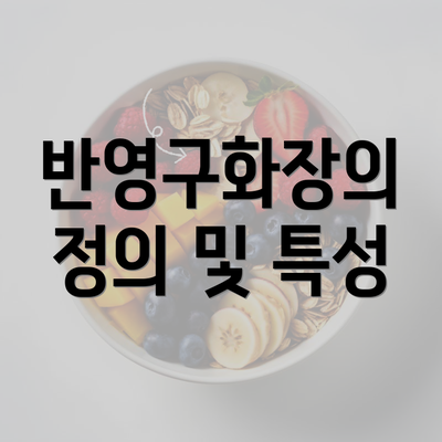 반영구화장의 정의 및 특성