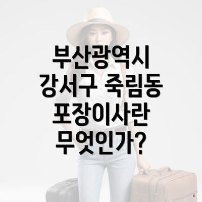 부산광역시 강서구 죽림동 포장이사란 무엇인가?