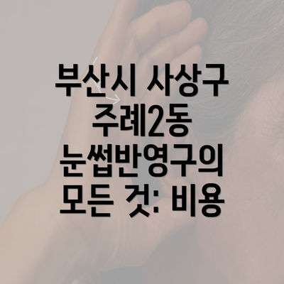 부산시 사상구 주례2동 눈썹반영구의 모든 것: 비용