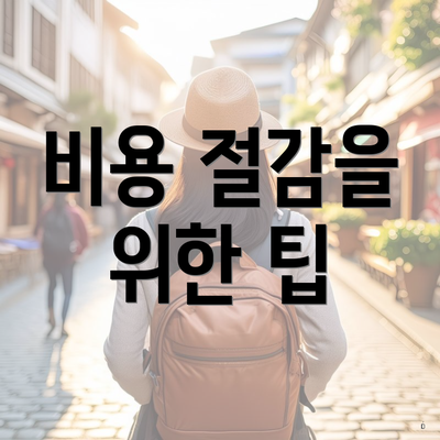 비용 절감을 위한 팁