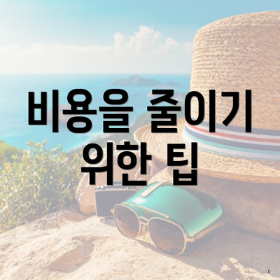 비용을 줄이기 위한 팁