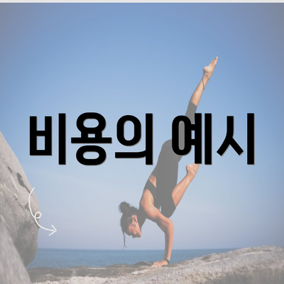 비용의 예시